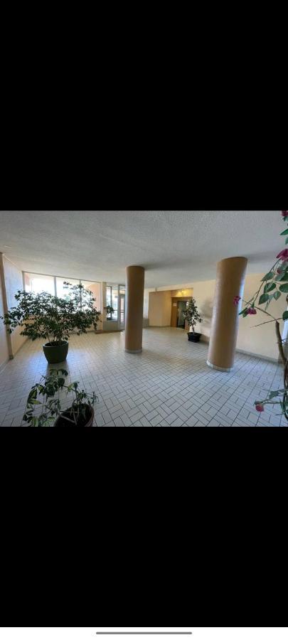 Studio Climatise 50 M.Du Port Saint-Cyprien  Exterior photo
